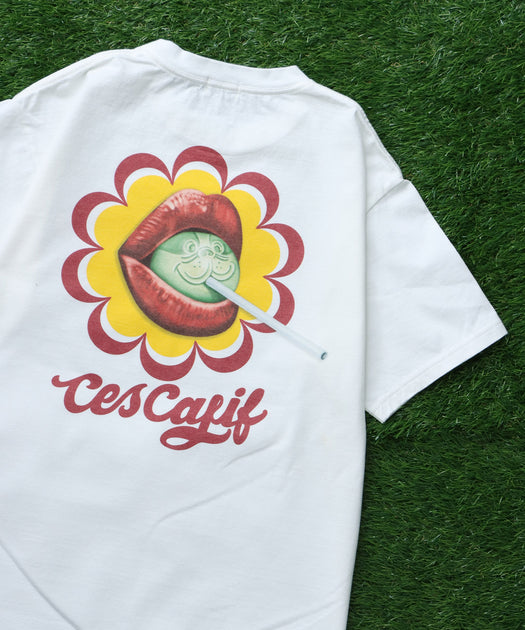 TES | The Endless Summer SUMMER COLLECTION – TES | THE ENDLESS SUMMER