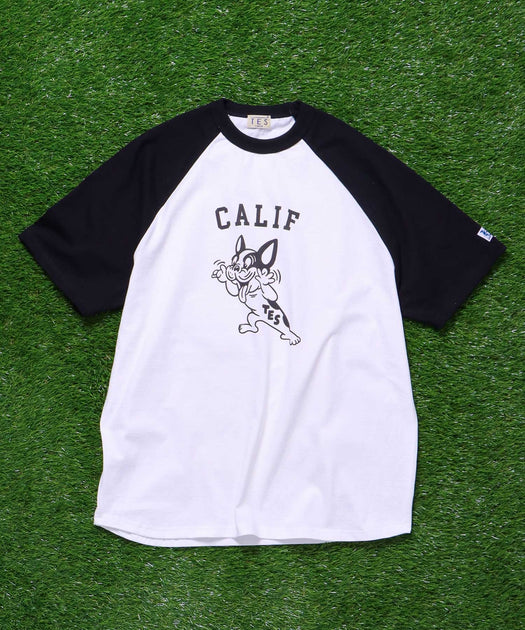 TES COLLEGE BUHI RAGLAN T-SHIRT / ラグランTシャツ – TES | THE