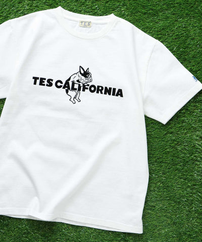 《6月下旬お届け予定》TES CALIFORNIA FLOCK LOGO T-SHIRT / Tシャツ