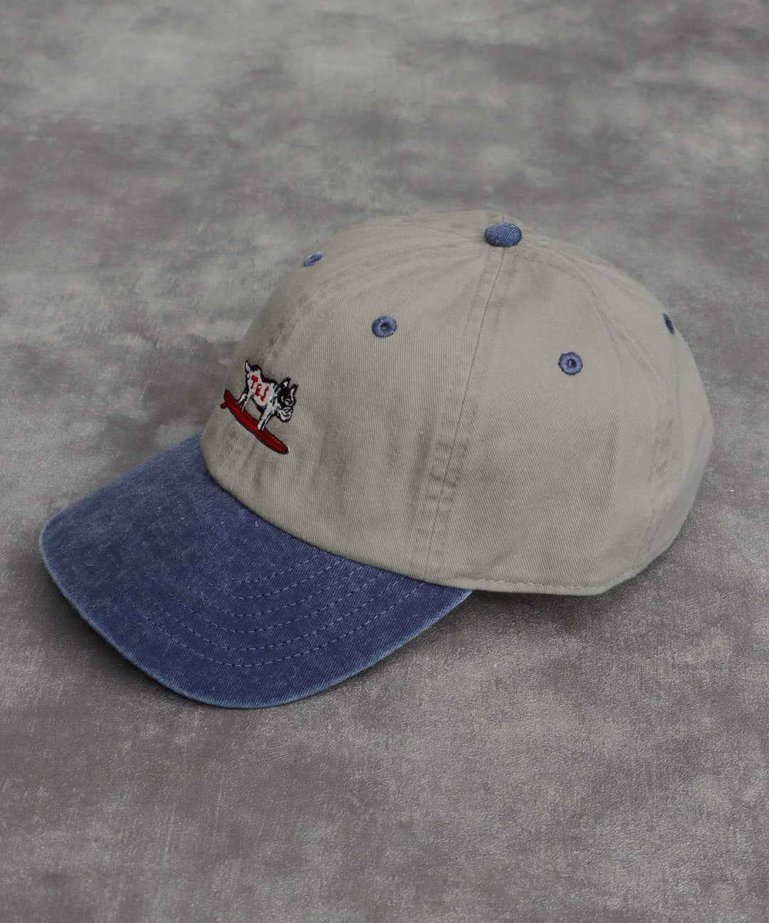 TES HUNTINGTON PIGMENT VINTAGE CAP / キャップ – TES | THE ENDLESS