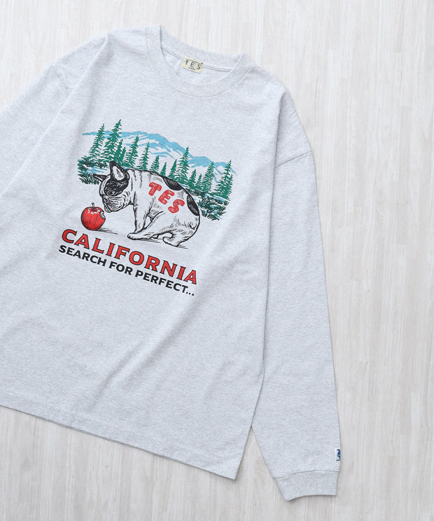 TES CALIFORNIA FOREST LONG SLEEVE T-SHIRT / ロンT – TES | THE