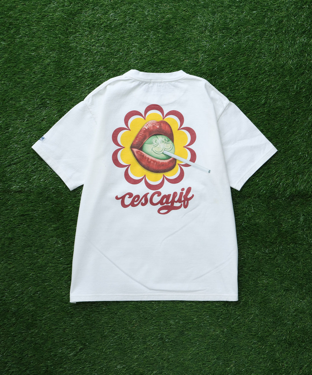 7月下旬お届け予定》TES Taste the Endless Summer T-SHIRT/ Tシャツ