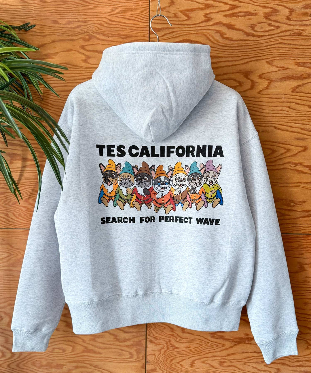 WEB / FLAG SHOP限定】TES CALIFORNIA BOX SILHOUETTE ZIP PK