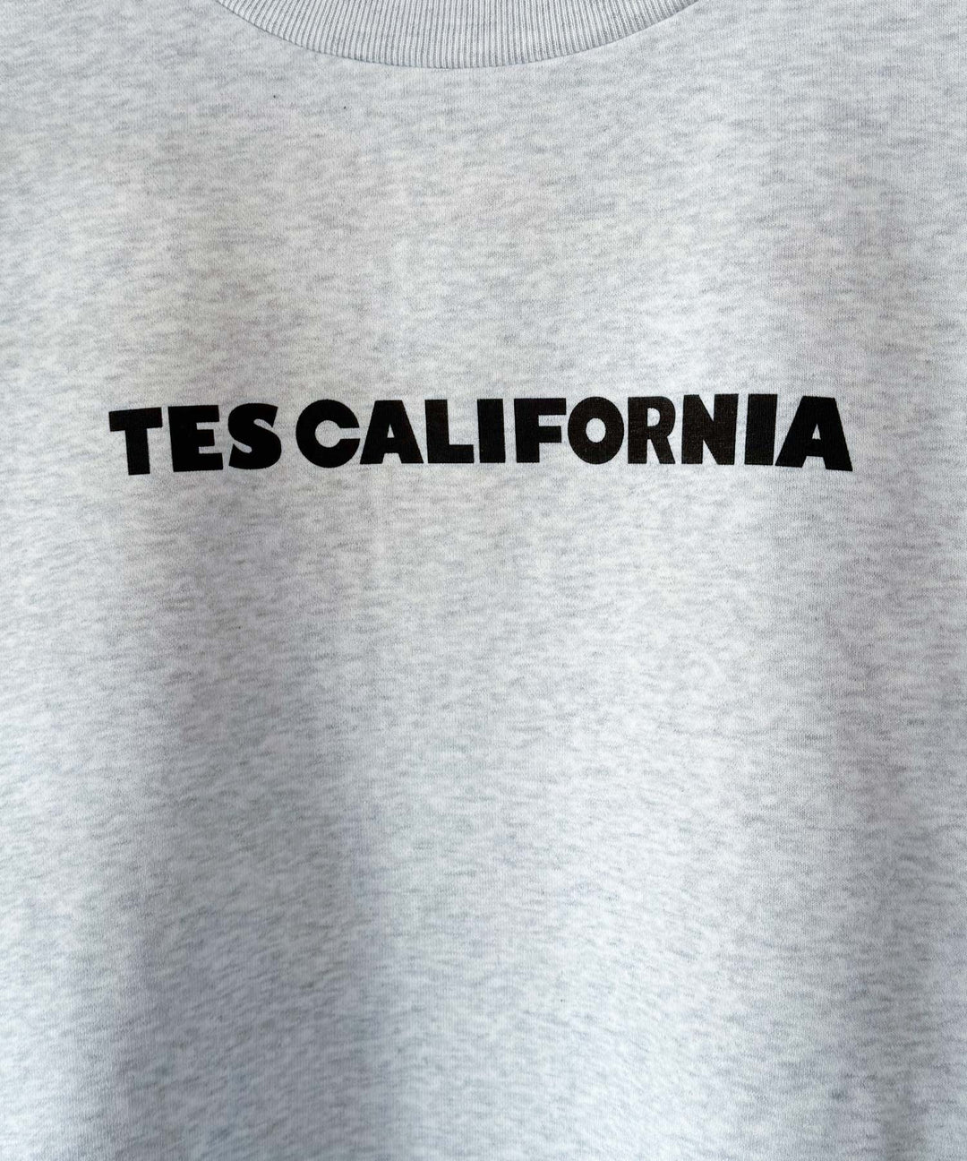 WEB / FLAG SHOP限定】TES CALIFORNIA BIG SWEAT CREWNECK /オーバー