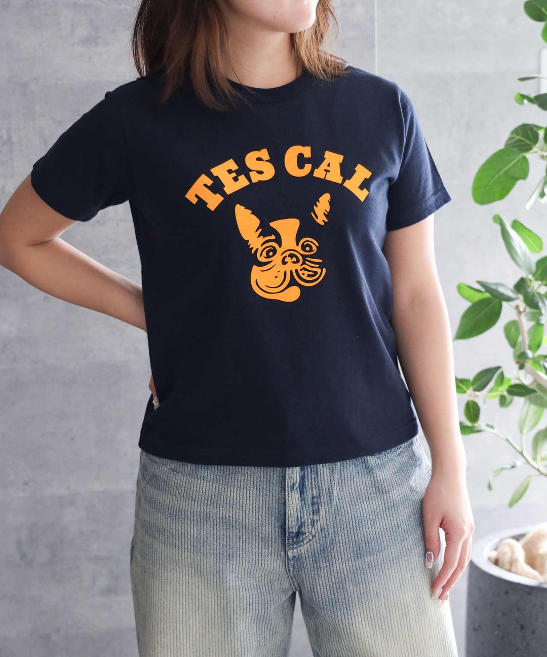 TES ザエンドレスサマー　6着セット TES / The Endless Summer（テス / エンドレスサマー）の商品一覧