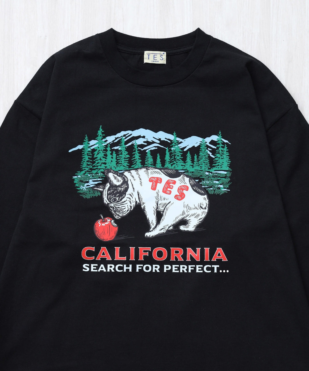 9月下旬お届け予定》 TES CALIFORNIA FOREST LONG SLEEVE T-SHIRT