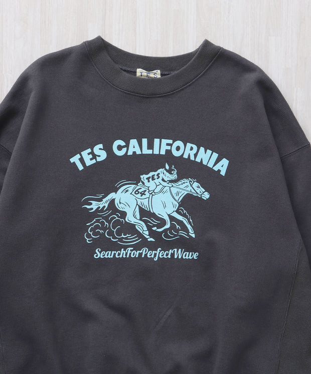TES 2026 HORSE RIDE FLOCKY CN CN SWEAT / クルーネックスウェット