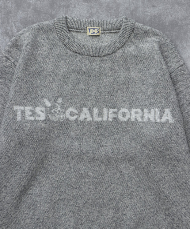 《11月下旬お届け予定》TES LOGO JQ WOOL KNIT / クルーネックニット