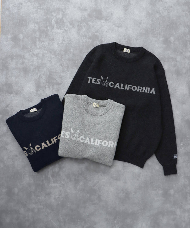 《11月下旬お届け予定》TES LOGO JQ WOOL KNIT / クルーネックニット