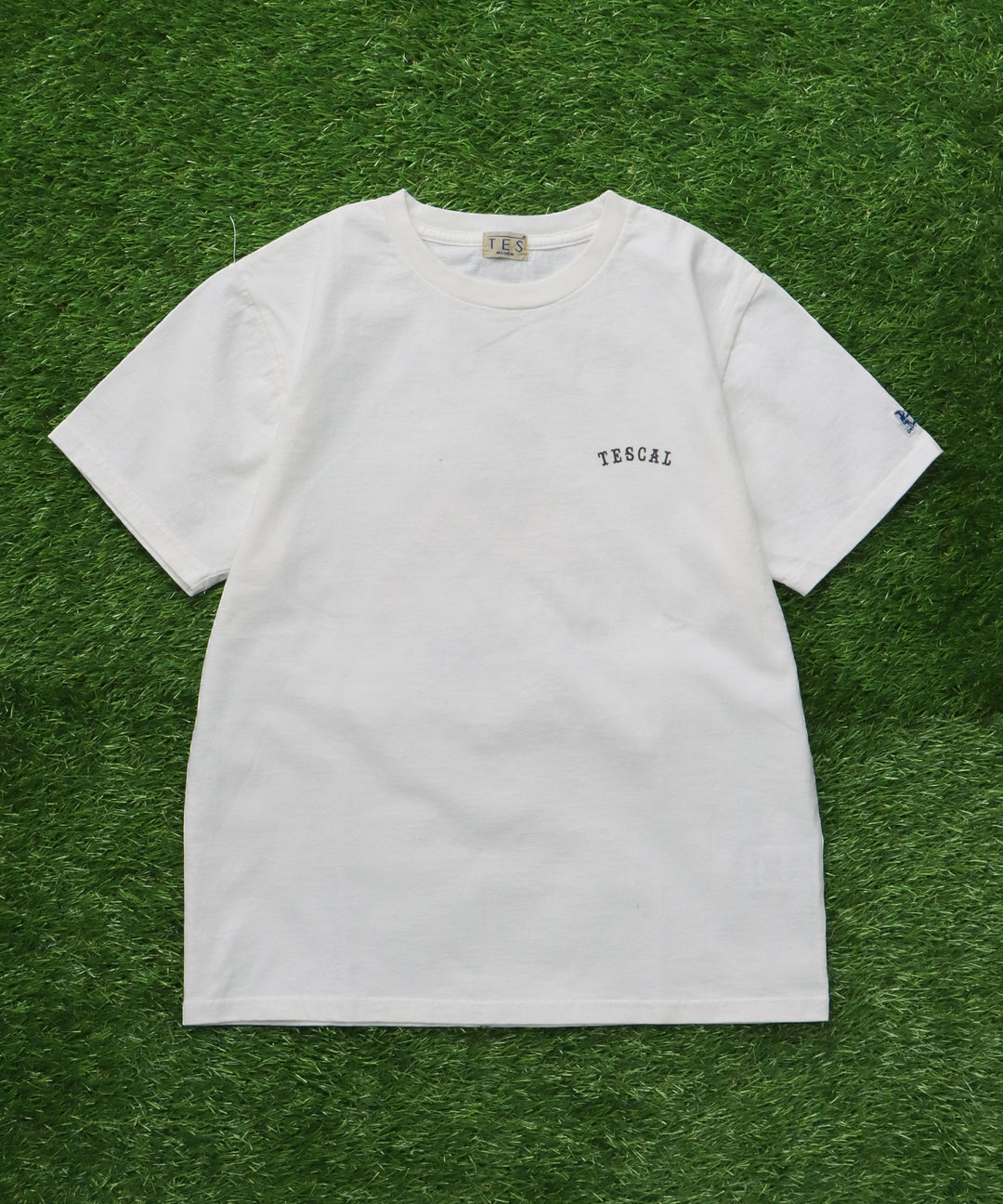 WEB / FLAG SHOP限定】TES ARCHIVE COLLECTION T-SHIRT / Tシャツ