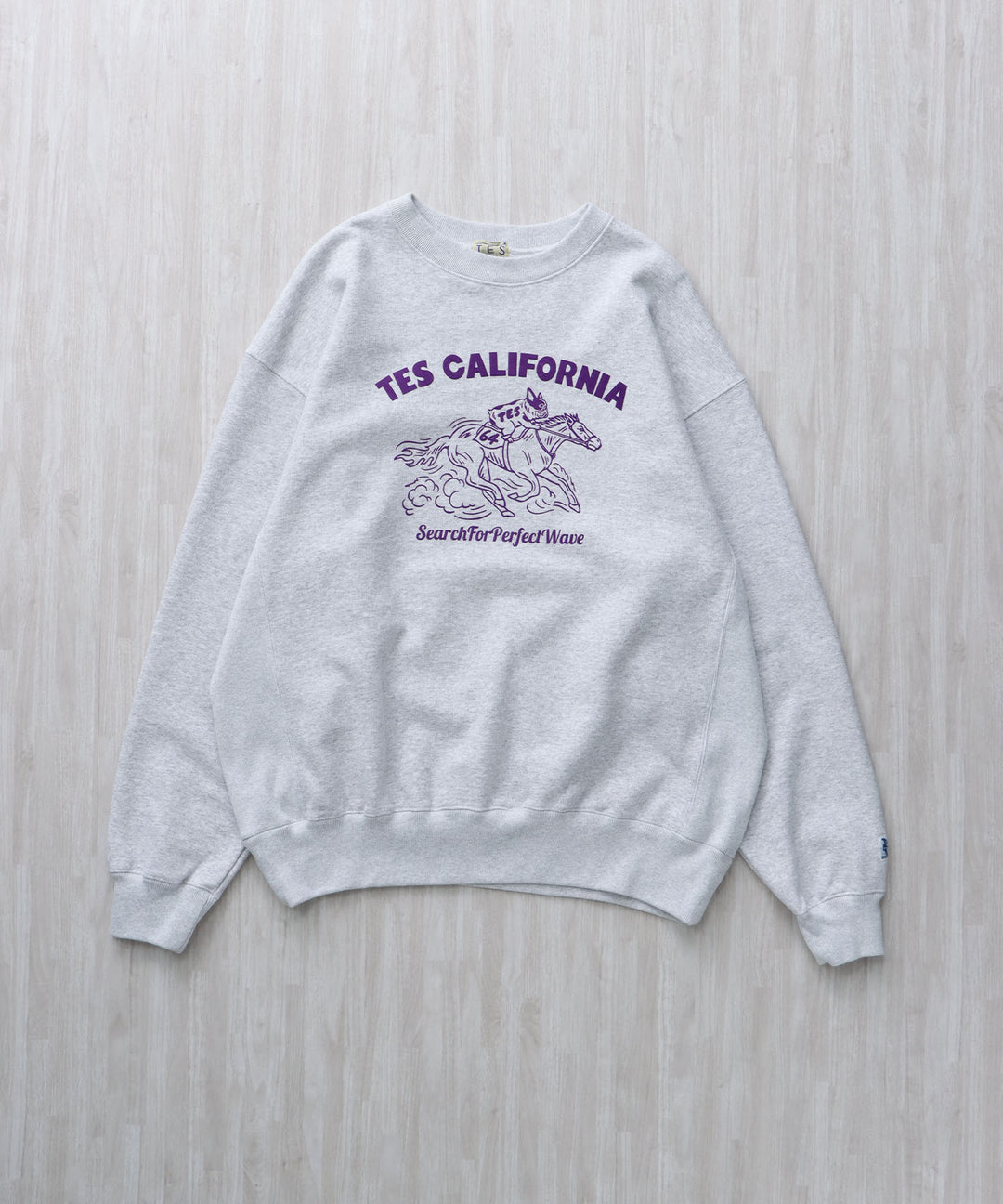TES 2026 HORSE RIDE FLOCKY CN CN SWEAT / クルーネックスウェット