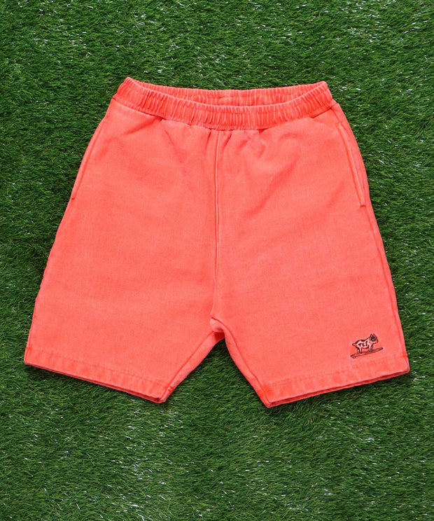 TES OVER DYED SHORTS / ショーツ