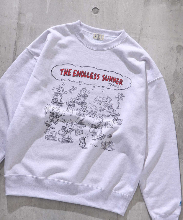 TES 90s VINTAGE GRAPHIC ASH SWEAT BIG / クルーネックビッグ ...