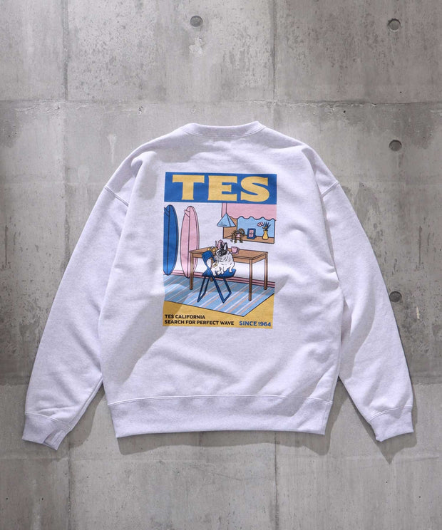 TES 90s VINTAGE GRAPHIC ASH SWEAT BIG / クルーネックビッグ