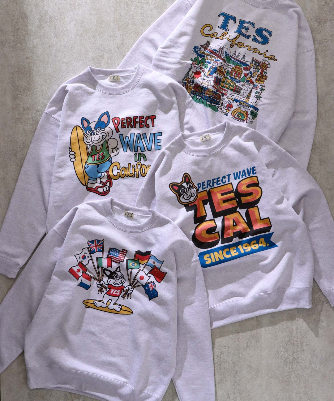 TES 90s VINTAGE SOUVENIOR GRAPHIC ASH SWEAT BIG / クルーネック