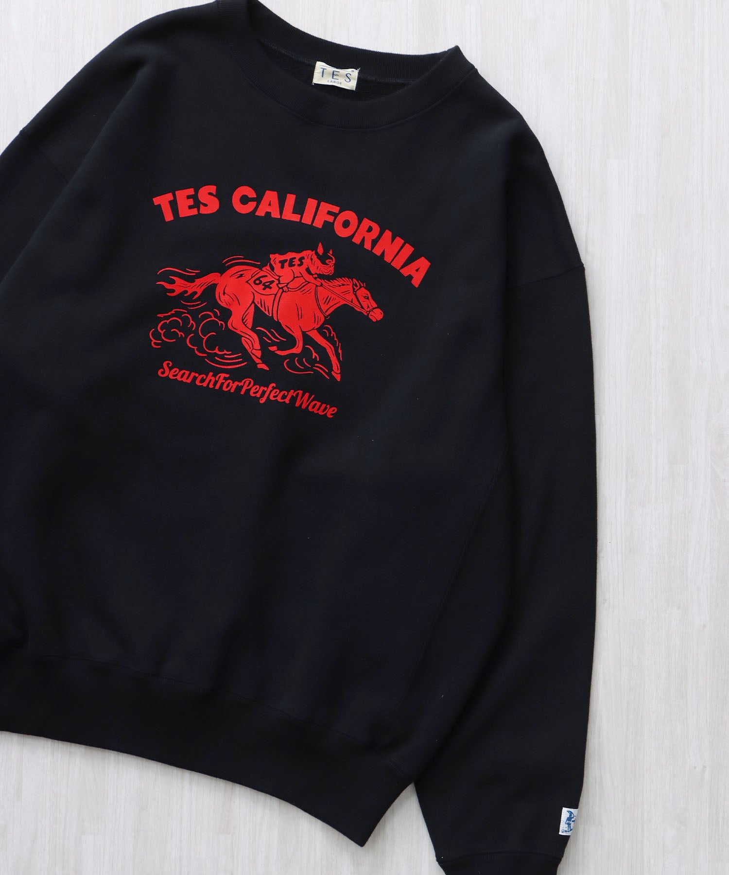 TES 2026 HORSE RIDE FLOCKY CN CN SWEAT / クルーネックスウェット