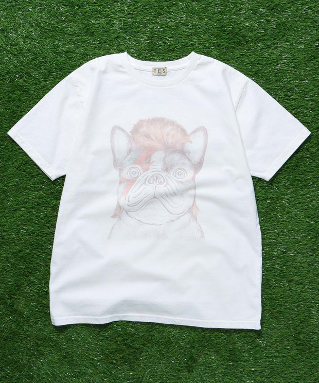 TES DAVID・BUHI T-shirts / Tシャツ