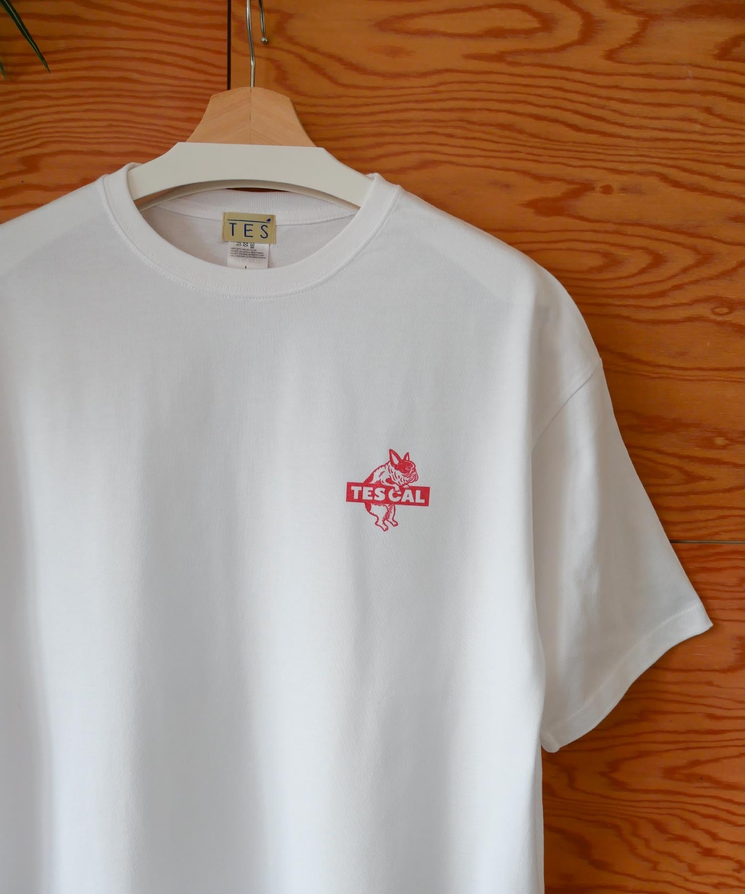 4月下旬お届け予定》【WEB / FLAG SHOP限定】TES CAL BOX LOGO 1point