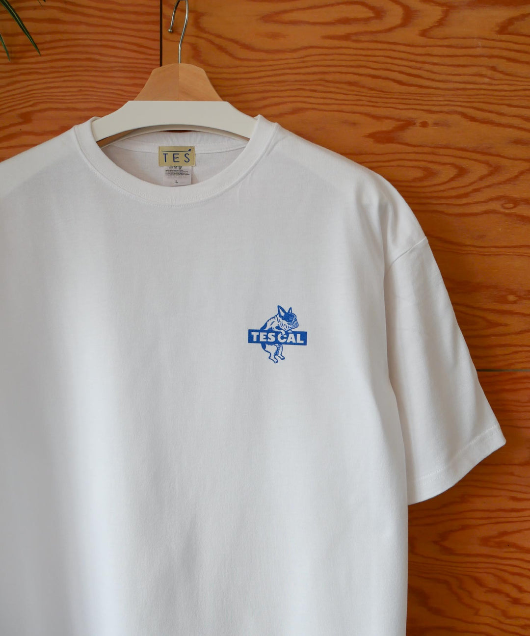 WEB / FLAG SHOP限定】TES CAL BOX LOGO 1point PT BIG T-SHIRT | オーバーサイズTシャツ – TES  | THE ENDLESS SUMMER