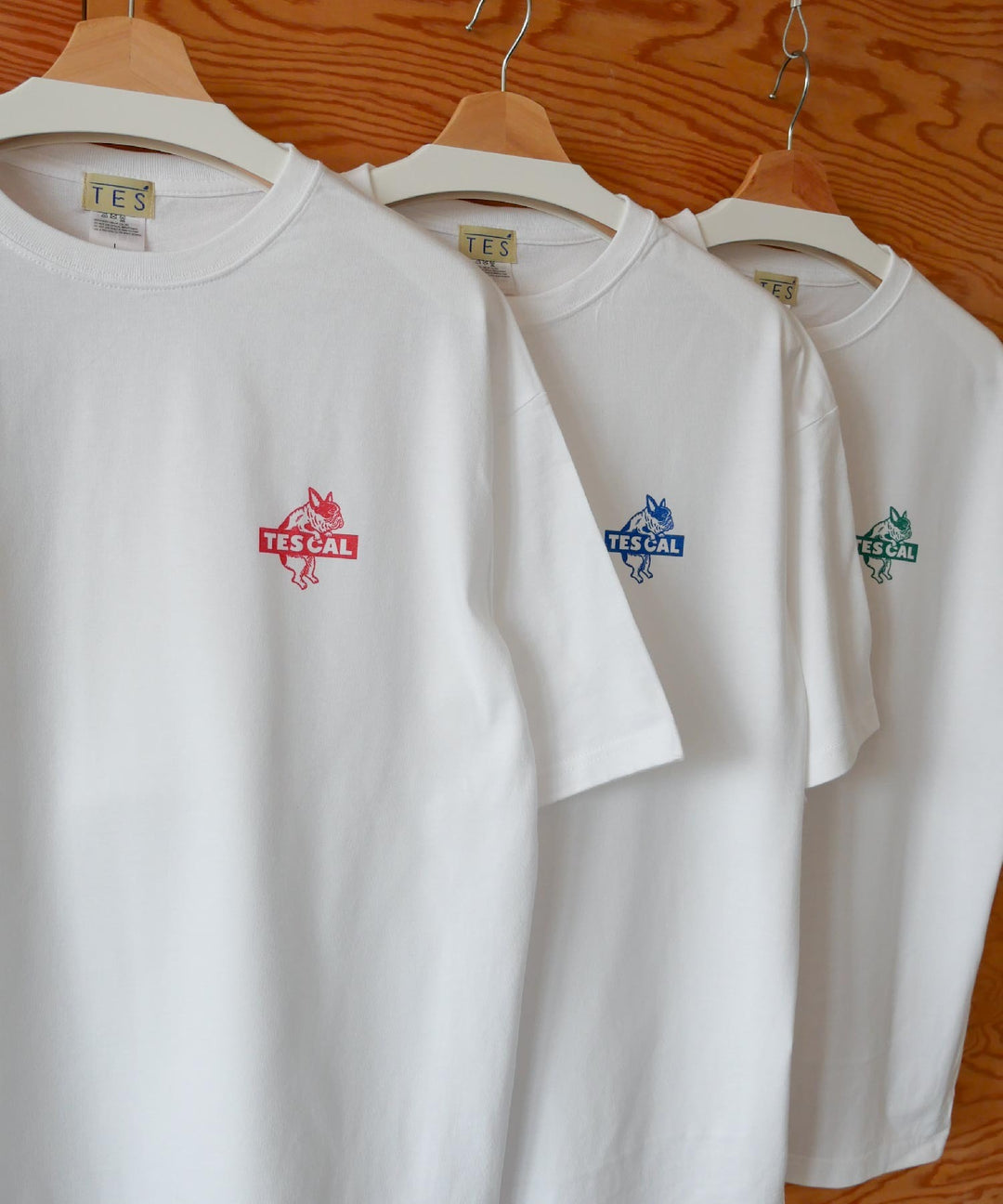 WEB / FLAG SHOP限定】TES CAL BOX LOGO 1point PT BIG T-SHIRT | オーバーサイズTシャツ – TES  | THE ENDLESS SUMMER