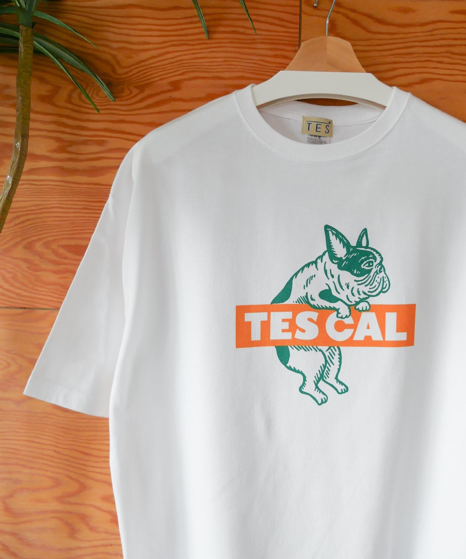 【WEB / FLAG SHOP限定】TES CAL BOX LOGO BIG T-SHIRT | オーバーサイズTシャツ – TES | THE  ENDLESS SUMMER