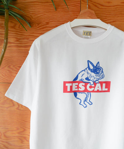 【WEB / FLAG SHOP限定】TES CAL BOX LOGO BIG T-SHIRT /オーバーサイズ・ビッグシルエット・半袖T