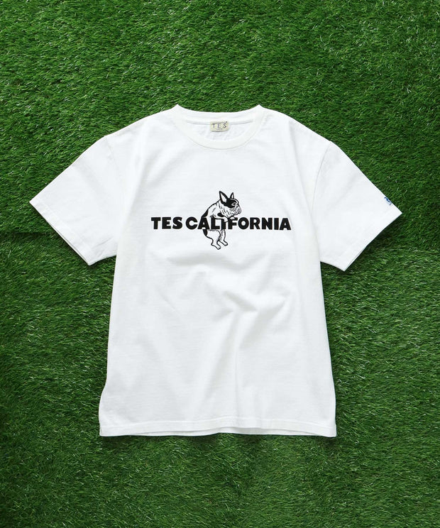 《6月下旬お届け予定》TES CALIFORNIA FLOCK LOGO T-SHIRT / Tシャツ