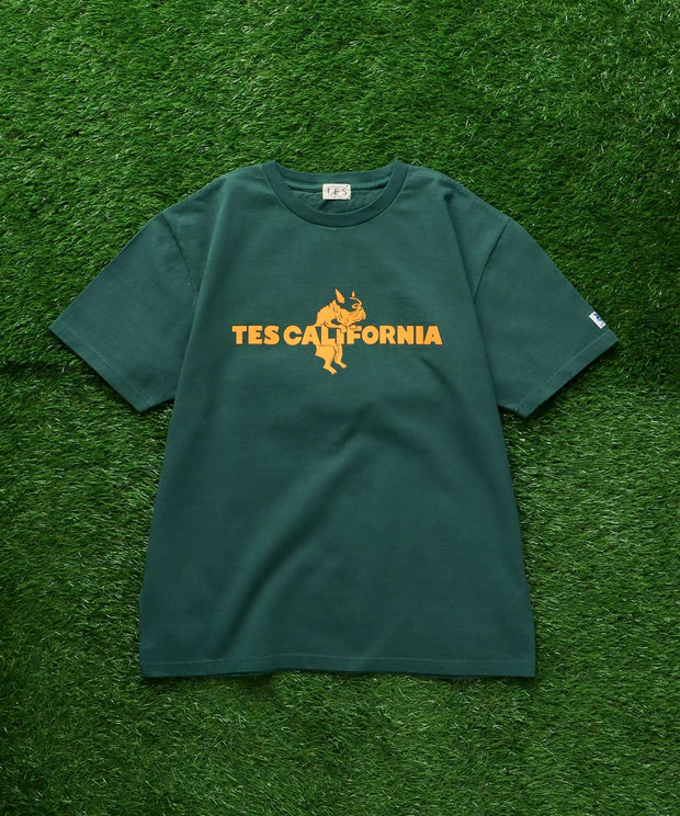 《6月下旬お届け予定》TES CALIFORNIA FLOCK LOGO T-SHIRT / Tシャツ