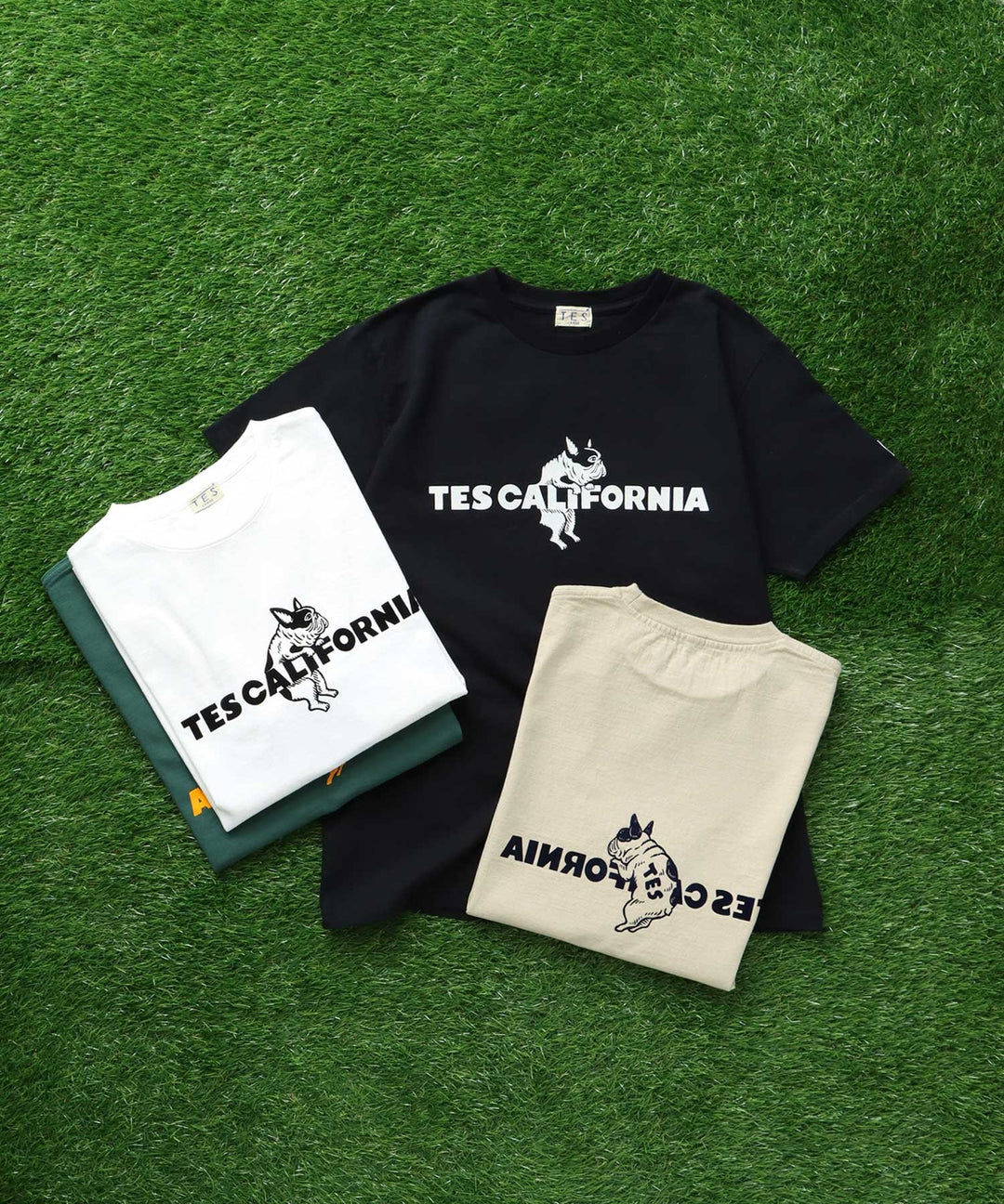 TES CALIFORNIA FLOCK LOGO T-SHIRT / Tシャツ – TES | THE ENDLESS SUMMER