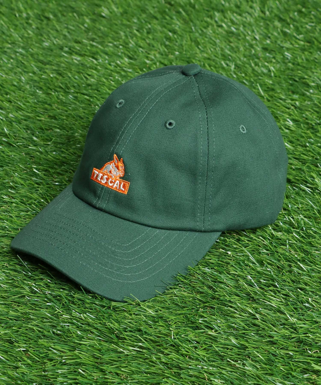 TES BOX LOGO EMB LOW CAP / キャップ – TES | THE ENDLESS SUMMER