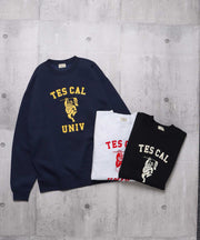 TES COLLEGE EMB BIG SWEAT / クルーネックスウェット