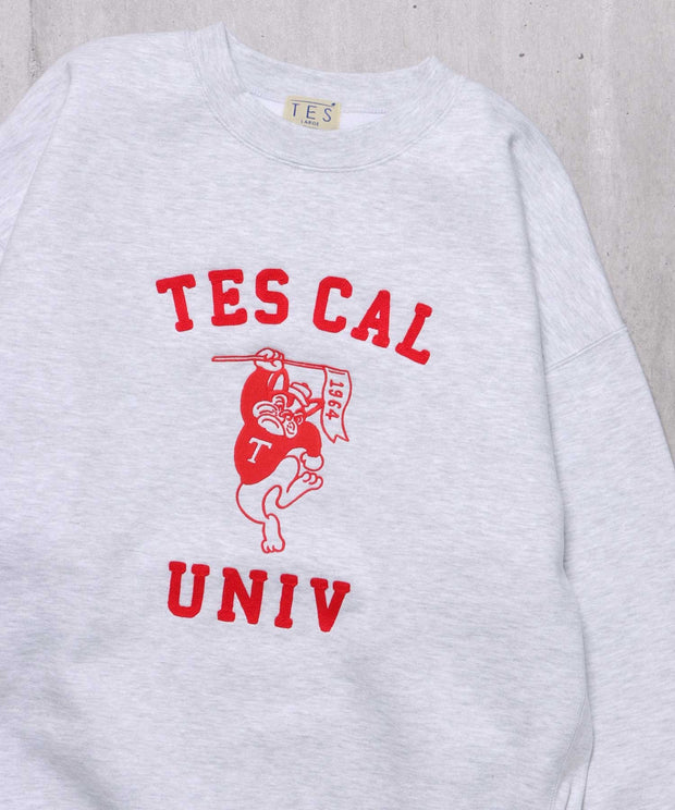 TES COLLEGE EMB BIG SWEAT / クルーネックスウェット