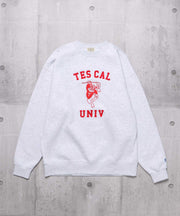 TES COLLEGE EMB BIG SWEAT / クルーネックスウェット