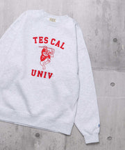 TES COLLEGE EMB BIG SWEAT / クルーネックスウェット