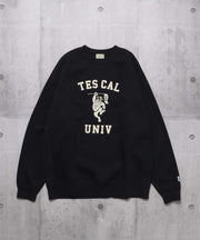 TES COLLEGE EMB BIG SWEAT / クルーネックスウェット