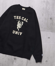 TES COLLEGE EMB BIG SWEAT / クルーネックスウェット