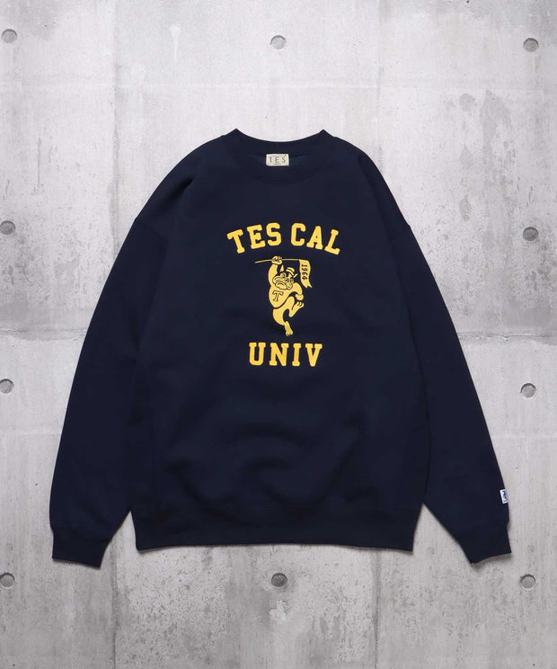 TES COLLEGE EMB BIG SWEAT / クルーネックスウェット