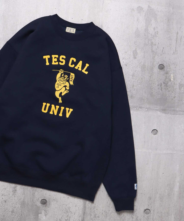 TES COLLEGE EMB BIG SWEAT / クルーネックスウェット