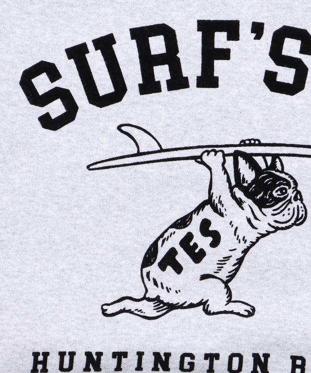 TES SURF'S UP FLOCKY CN SWEAT / クルーネックスウェット