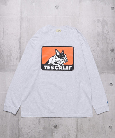 TES BOX LOGO LONG SLEEVE T-SHIRT / ロンT