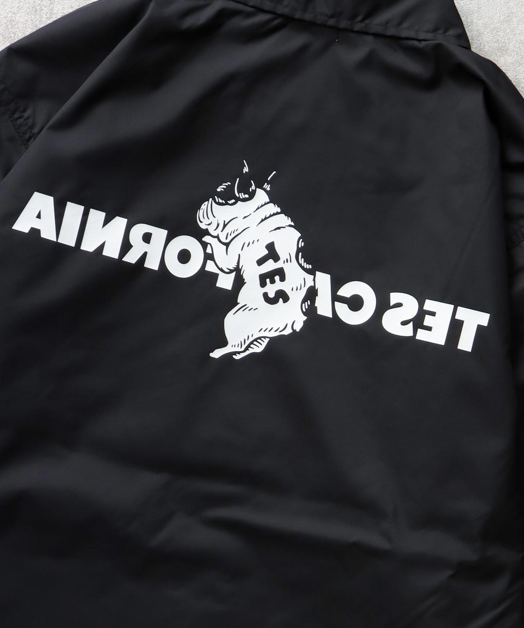 美品　TES コーチジャケット　Tシャツ付き 89518415b_b_16_1080x.jpg?v=