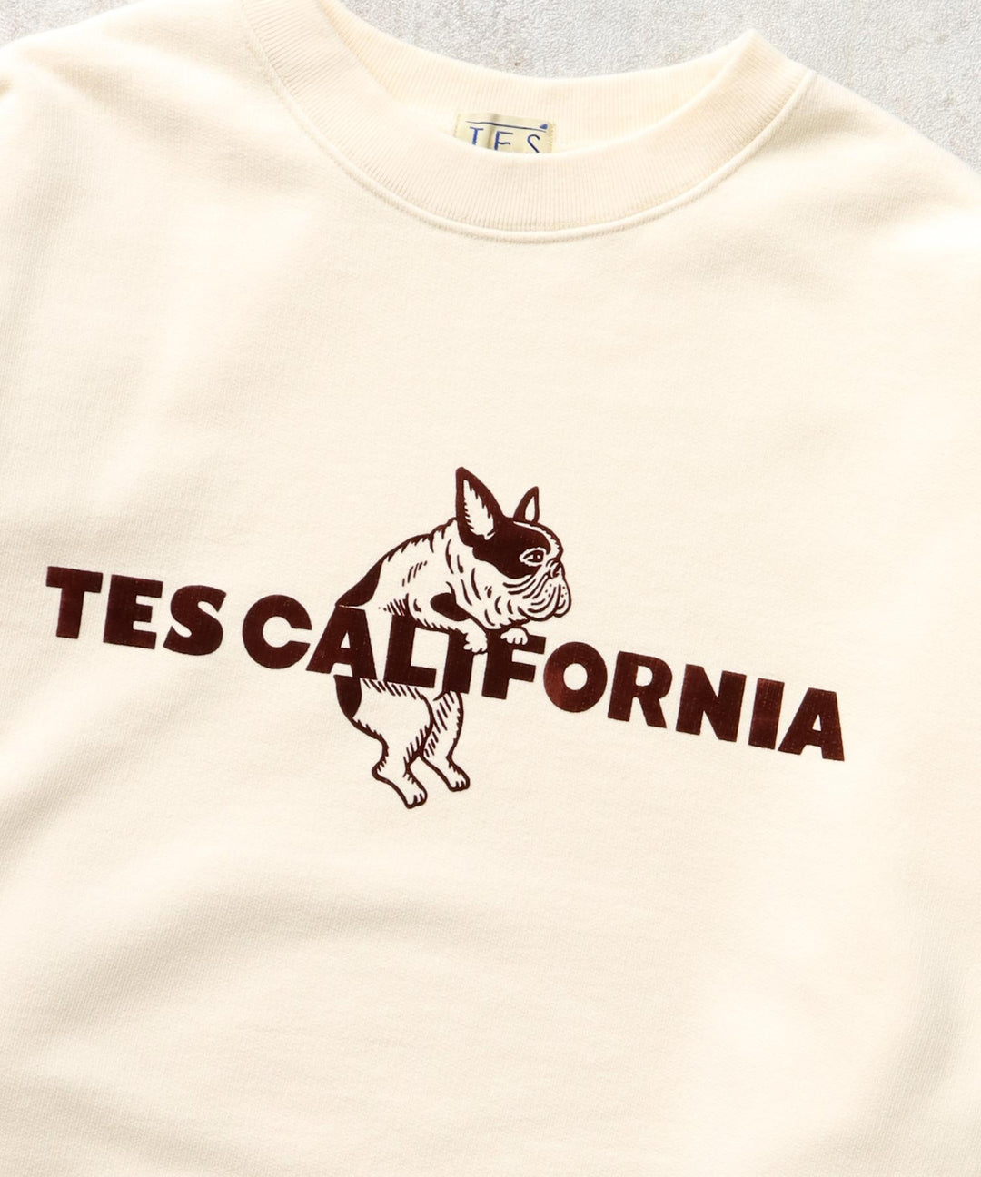 一部再入荷】TES CALIFORNIA FLOCK CN SWEAT / クルーネックスウェット