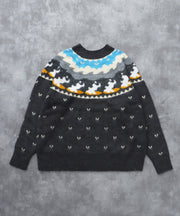 TES FB JQ KNIT / クルーネックニット