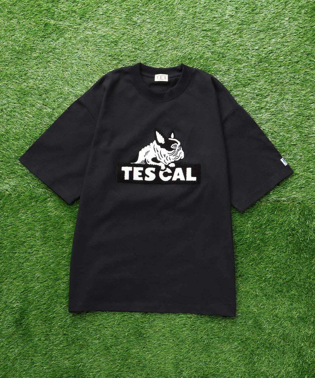 TES CAL SAGARA LOGO BIG T-SHIRT / ビッグシルエットTシャツ – TES