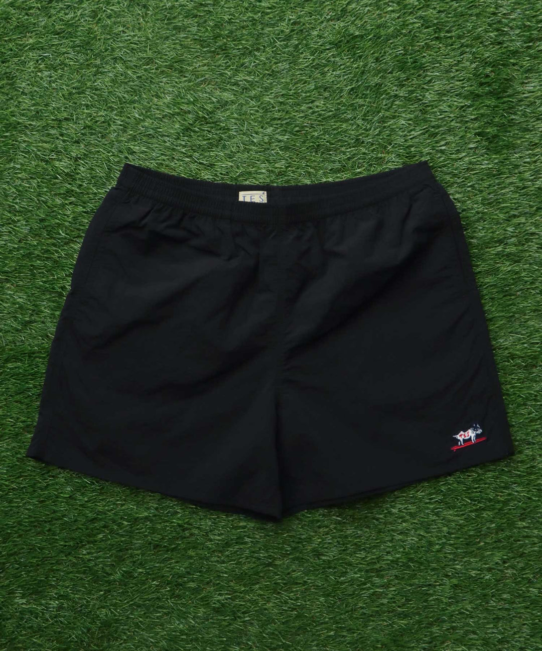 HUNTINGTON NYLON SHORTS – TES | THE ENDLESS SUMMER