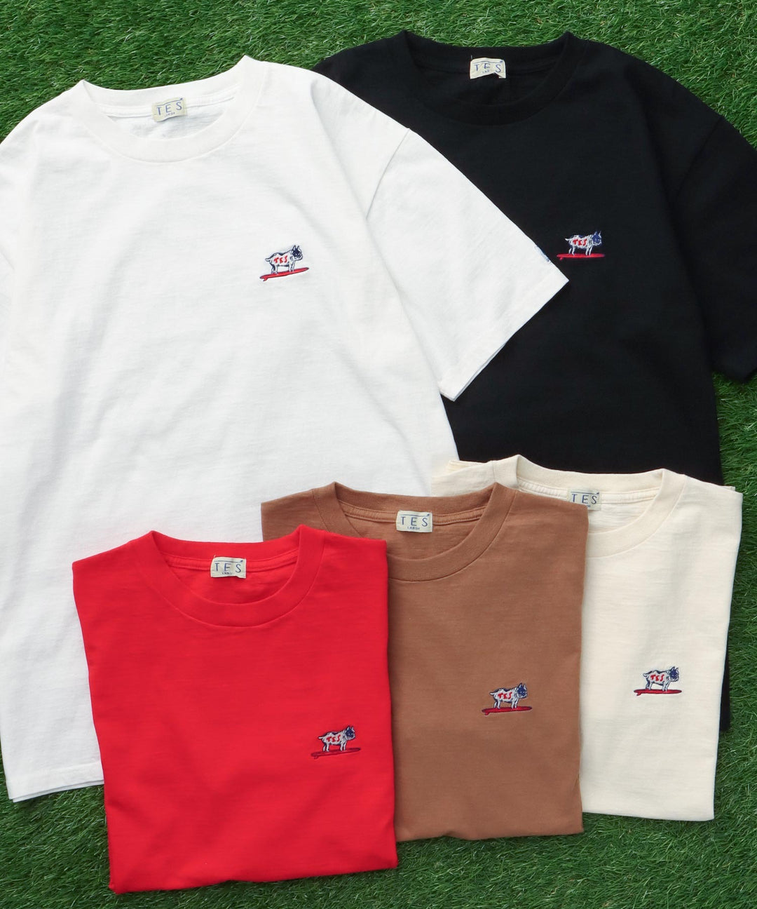 TES ORGANIC COTTON HUNTINGTON BIG T-SHIRT / オーガニックコットン