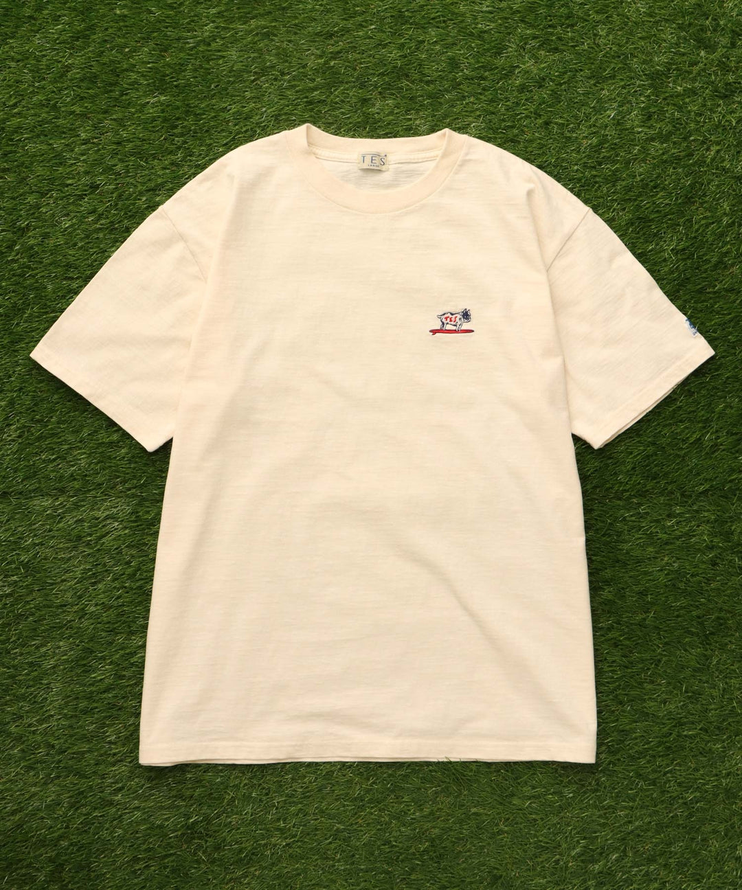 TES ORGANIC COTTON HUNTINGTON BIG T-SHIRT / オーガニックコットン