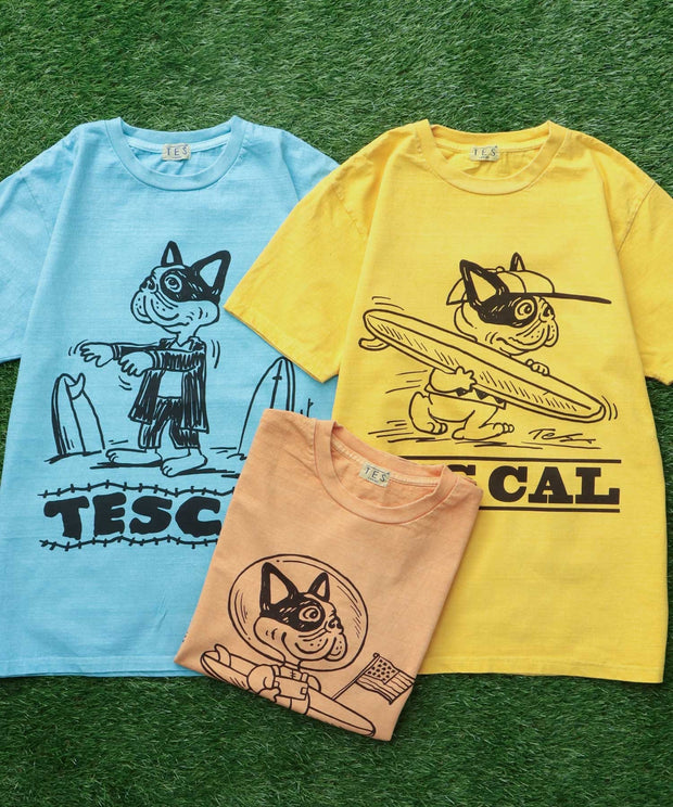 TES VINTAGE GRAPHIC PIGMENT T-SHIRT / Tシャツ