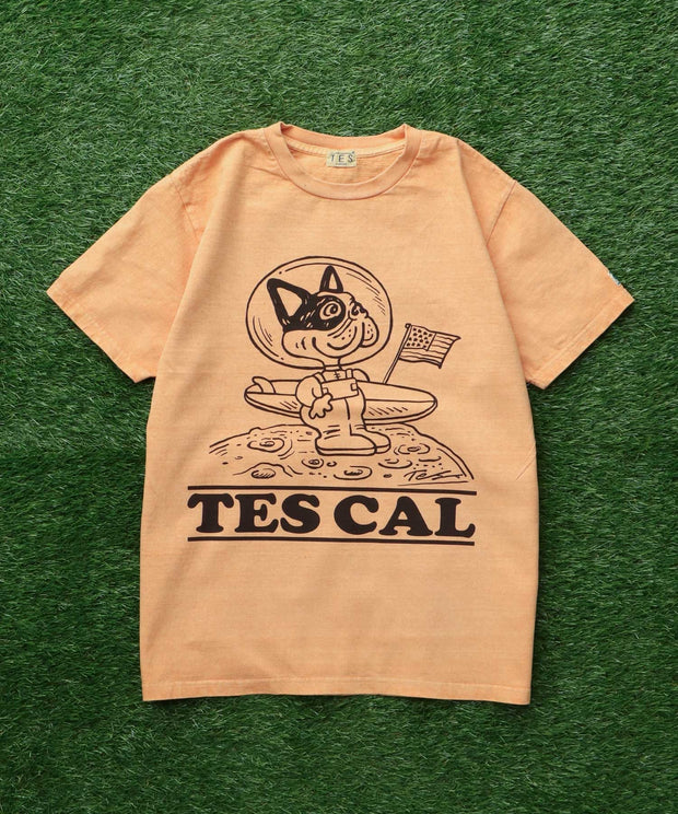 TES VINTAGE GRAPHIC PIGMENT T-SHIRT / Tシャツ