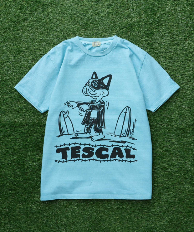 TES VINTAGE GRAPHIC PIGMENT T-SHIRT / Tシャツ
